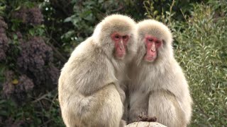 上野動物園のかわいい動物達アラカルト😎