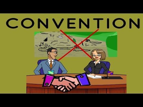 What is definition of convention?