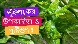 পুঁইশাকের পুষ্টিগুণ ও স্বাস্থ্য উপকারিতা ! আসুন এবার জেনে নিই পুঁই শাকের উপকারিতা সম্পর্কে |