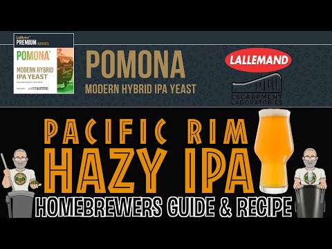 Pomona Hazy IPA Recipe and Homebrewer’s Guide