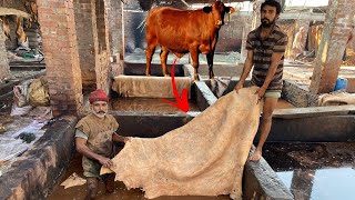 500 Years Ago How Was The Leather Produced | The process from cowhide to leather