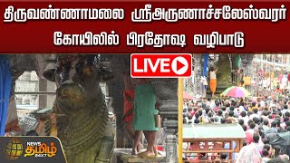 🔴LIVE: திருவண்ணாமலை ஸ்ரீஅருணாச்சலேஸ்வரர் கோயிலில் பிரதோஷ வழிபாடு | NewsTamil24x7