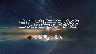 大籽 - 白月光与硃砂痣 (动态歌词) 一小时循环版 「白月光在照耀 你才想起她的好」