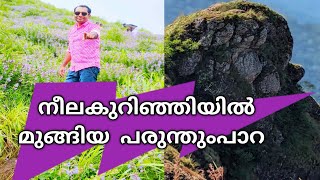 Parunthumpara | Parunthumpara travel guide | things to do in paruthumpara | Neelakurinji | 4K