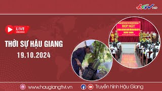 [🔴 Trực tiếp] Thời sự Hậu Giang 19.10.2024 | Truyền hình Hậu Giang