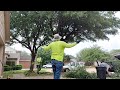 Live Oak Basic Tree Trim