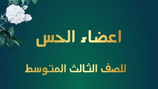 شرح فصل (اعضاء الحس )للصف الثالث المتوسط بأبسط طريقه ممكن تشوفه ملخص وتفسير