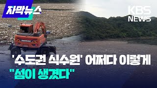 [자막뉴스] 쓰레기 섬된 충주호...식수원 위협/ KBS 2022. 08.18