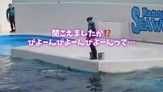 音の指示⁉️ラビーちゃんとララちゃんのトレーニング💪