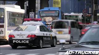 渋谷スクランブル交差点で右折チャレンジする軽自動車！運悪く渋4パトカーに見つかり失敗に終わる