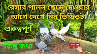 কোন দিক থেকে সর্বপ্রথম রেসার বেবিদের টস শুরু করবেন? রেসার বেবি আর হারাবে না।