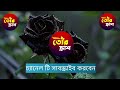 ফুফাতো বোনের সাথে রুমডেট a romantic love story দুষ্টু মিষ্টি ভালোবাসার গল্প tor crush