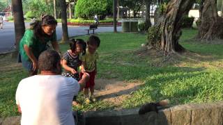 20150717 在228公園餵松鼠