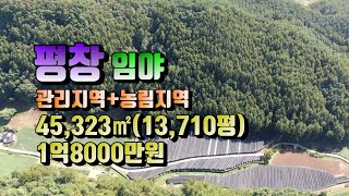 (평창임야)매번 25-1127 평창임야 13,710평 매매금액1억8000만원 임업인 귀촌임야