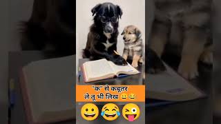 Cute dog #like#share#viral#video# dog lovers