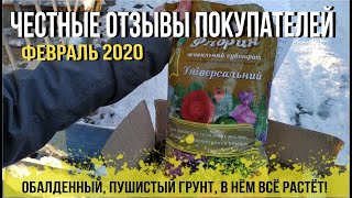 ОТЗЫВ АГРОМАРКЕТ(ВІДГУК) | Саджанці, Огірки, Томат, Перець, Помідор ПОДАРУНОК від | Agro-Market.ua