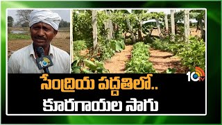 Vegetable Farming Methods | సేంద్రియ పద్దతిలో..  కూరగాయల సాగు  | Matti Manishi | 10TV