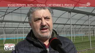 A Battipaglia, cibi sani e agricoltura sostenibile