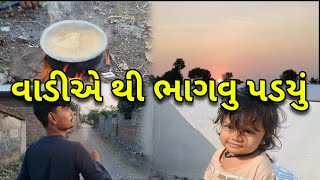 વાડીએ થી ભાગવુ પડ્યું || Vadiye thi bhagavu padyu || farmer's vlogs || #velligevlogs ##deylivlogs