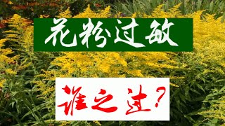 花粉过敏谁之过？