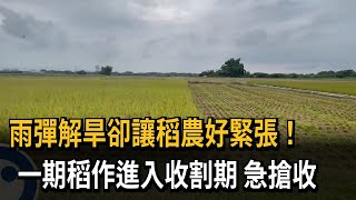 雨彈解旱卻讓稻農好緊張！　一期稻作進入收割期　急搶收－民視新聞