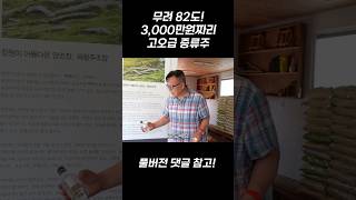 무려 82도! 3,000만원짜리 고오급 증류주의 맛은? #쩐라남도 #해창막걸리