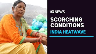 India's record-breaking heatwave tests the limits of human survival | ABC News