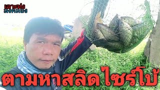 ตามล่าสลิดไซร์จัมโบ้​EP1.@CHANNEL-do1tf