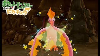 NS【ポケモン let's go!】 shiny Moltres 色違い ファイヤー 色違 火焰鳥