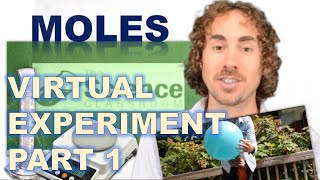 Virtual Chemistry Experiment: The Mole -- What Does it Look Like? (Part 1)
