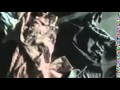 Maher Zain   Love Will Prevail   #FreeSyria   Official Music Video720P