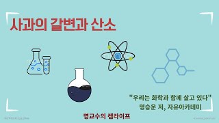 사과의 갈변과 산소