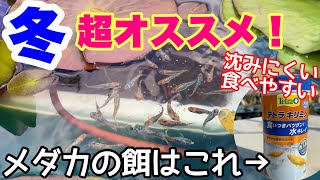 冬のメダカにオススメの餌！○○な餌は要注意！○○な時は与えない方がいい？ テトラ キリミン メダカ睡蓮ビオトープ