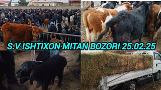 CHORVA BOZORIGA ISHQIBOZLAR UCHUN SAMARQAND V ISHTIXON MITAN CHORVA BOZORIDAN NARXLAR 25.02.25