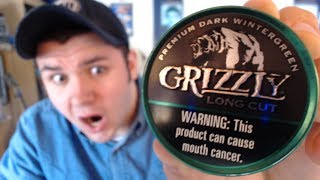 Grizzly Dark Wintergreen Review