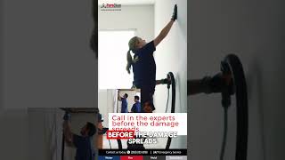 Water Leak Caught on Camera! What Happens NEXT Will Shock You! | Water Damage Restoration Tips