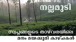 നല്ലമുടിയിലെ ഈ കാഴ്ചകൾ എത്ര മനോഹരമാണ്... പുറം ലോകവുമായി ബന്ധമില്ലാത്ത കുറെ നല്ല മനുഷ്യരും..