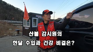 산불 감시원의 한달 수입과 건강 비결은? 솔잎이 만병통치 약이다.