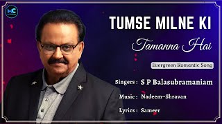 Tumse Milne Ki Tamanna Hai (Lyrics) - S P B | Saajan | Salman Khan, Madhuri |90s Hindi Love Songs