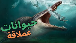 حيوانات عملاقة حقيقية لن تصدق حجمها! 🐘🦑