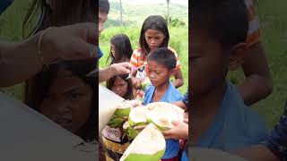 Fresh Coconut from tree in Phillipines