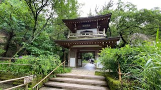 【4K】Walk to Jouchiji temple, Kita-Kamakura, Japan(Part 2)/北鎌倉の浄智寺へ歩く#97