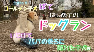 初ドッグランで犬社会経験値をあげるはずが！？パパの足に隠れた子犬w