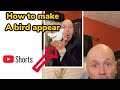 Magic bird SECRET --(# Shorts)