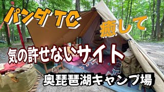 林間サイトに最高【バンダtc】６番サイトは何かと気の置けない緊張感【奥琵琶湖キャンプ場】