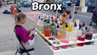 New York City Virtual Walking Tour 2024 Fordham Bronx Ny