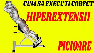 Hiperextensii aparat - Cum sa executi corect !