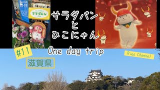 #11 滋賀県にお出かけ！　ひこにゃんとサラダパン　グッズを買う