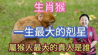 【生肖猴】屬猴人一生最大的剋星是誰？遇見了一定要遠離！生肖屬猴人最大的貴人是誰？#2023 #生肖運勢 #愛華