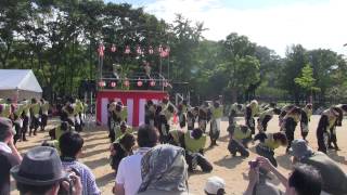 【公式】有閑踊り子一座飛舞人　君がため　こいや祭り　やぐら会場